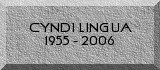 Cyndi Lingua